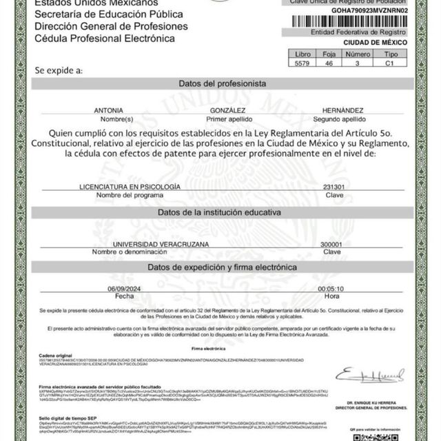 Ampliar imagen: certificate 2