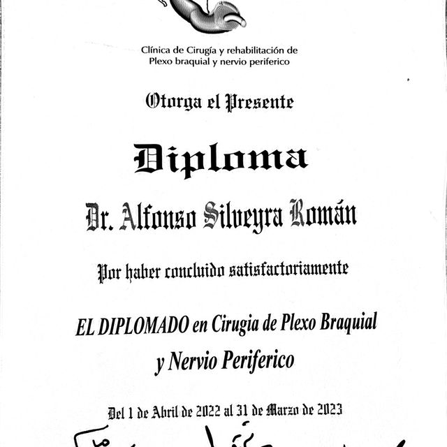 Ampliar imagen: certificate 1