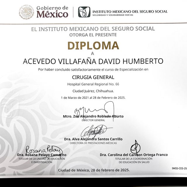 Ampliar imagen: certificate 1