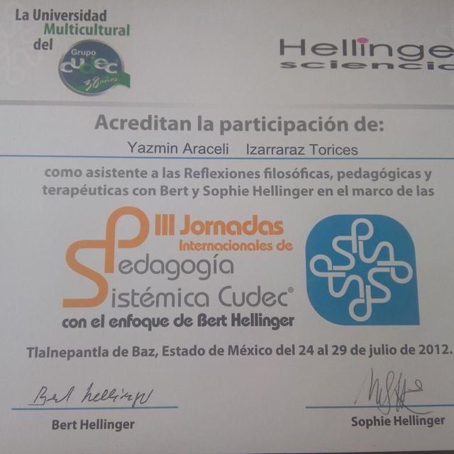 Ampliar imagen: certificate 6