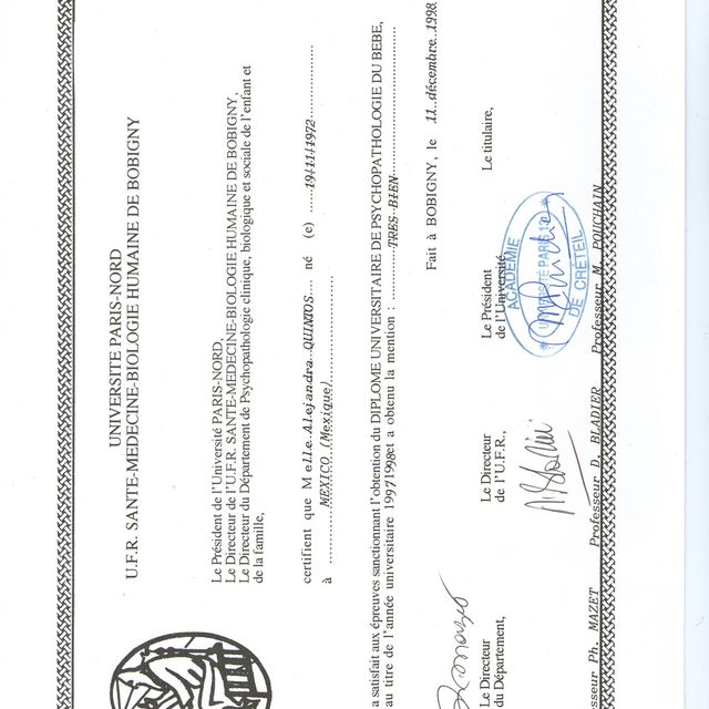 Ampliar imagen: certificate 10