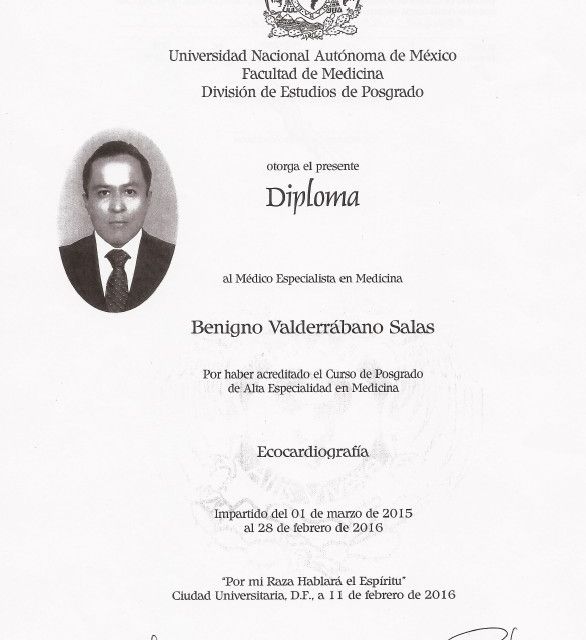 Ampliar imagen: certificate 3