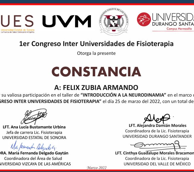 Ampliar imagen: certificate 15