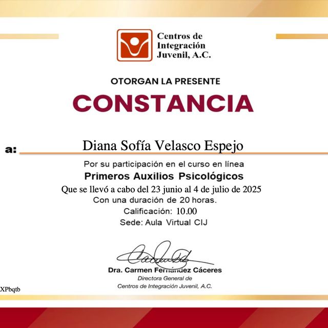 Ampliar imagen: certificate 2