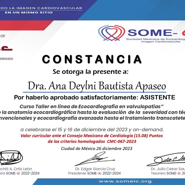 Ampliar imagen: certificate 5