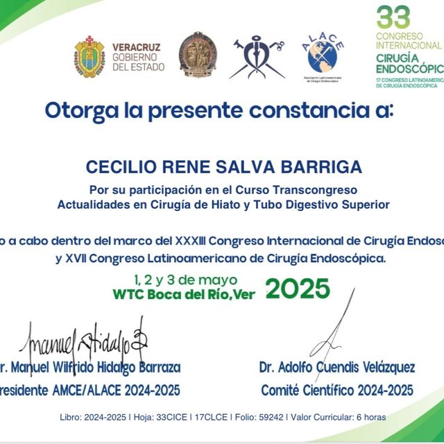 Ampliar imagen: certificate 10