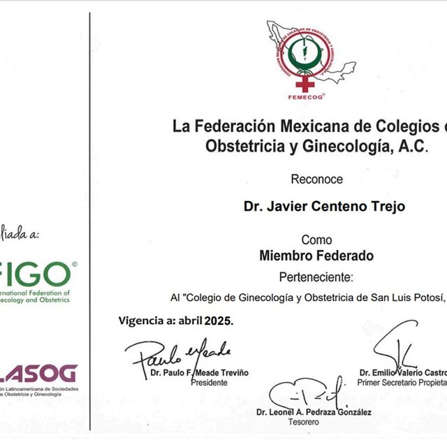 Ampliar imagen: certificate 2