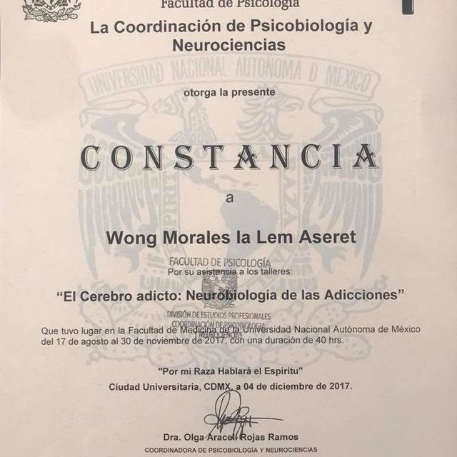 Ampliar imagen: certificate 12