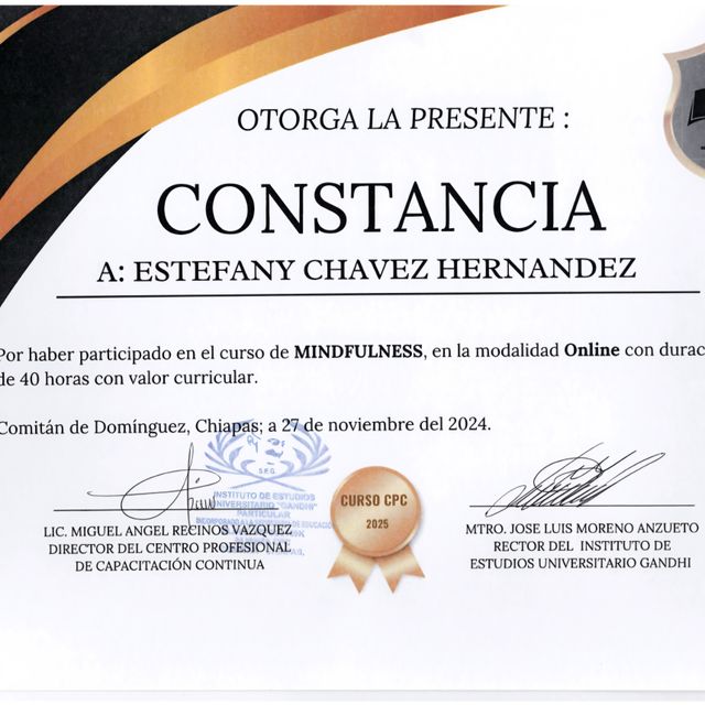 Ampliar imagen: certificate 5