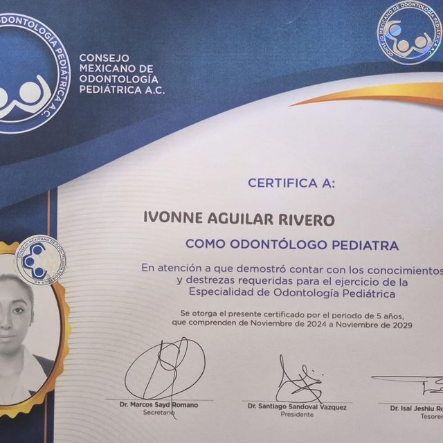 Ampliar imagen: certificate 1