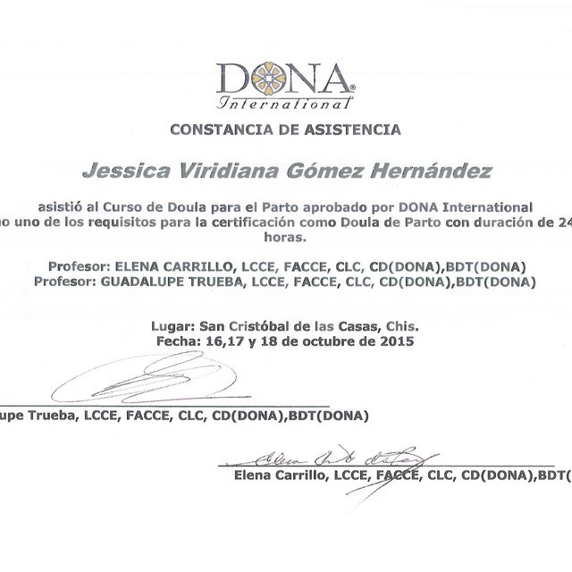 Ampliar imagen: certificate 8