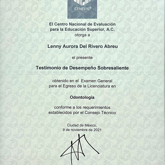 Ampliar imagen: certificate 4