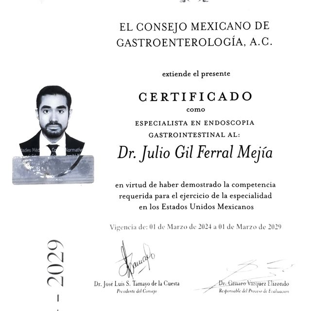 Ampliar imagen: certificate 5