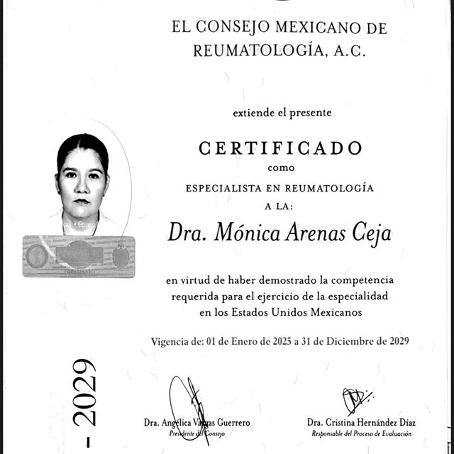 Ampliar imagen: certificate 7