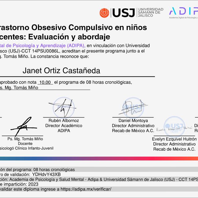Ampliar imagen: certificate 29