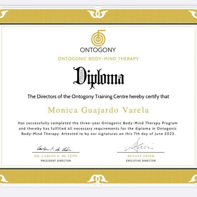 Ampliar imagen: certificate 3