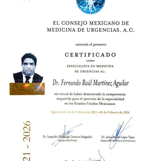 Ampliar imagen: certificate 1
