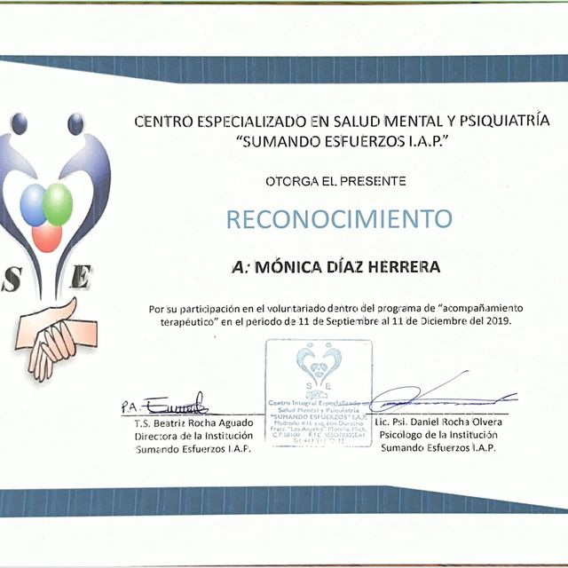 Ampliar imagen: certificate 6