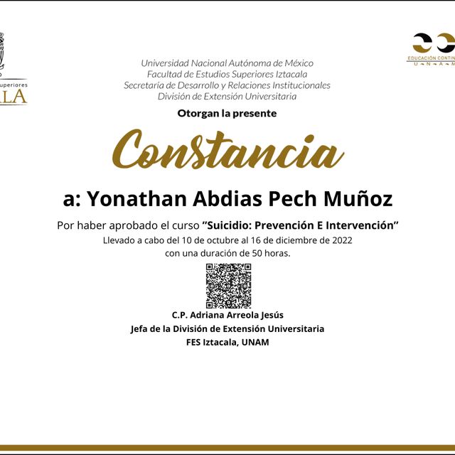Ampliar imagen: certificate 8