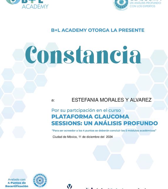 Ampliar imagen: certificate 3