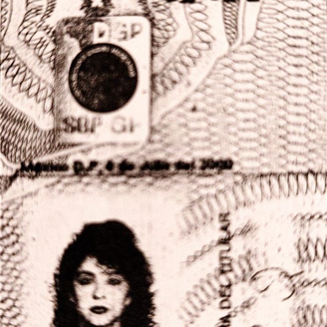 Ampliar imagen: certificate 5