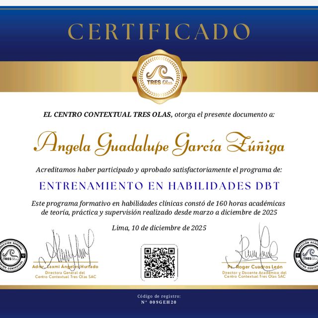 Ampliar imagen: certificate 2