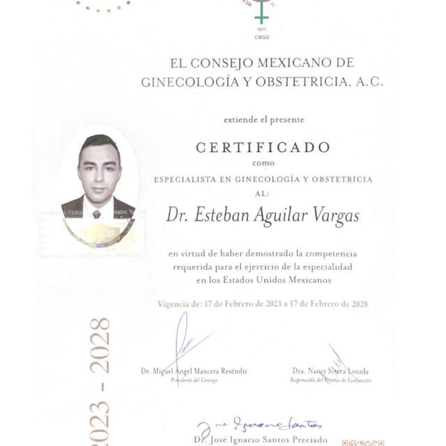 Ampliar imagen: certificate 1