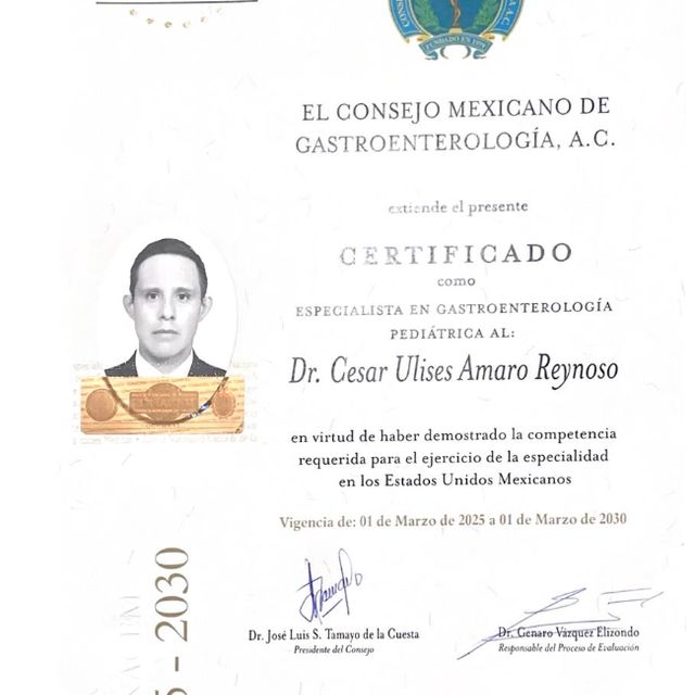 Ampliar imagen: certificate 2