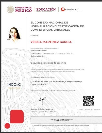 Ampliar imagen: certificate 3