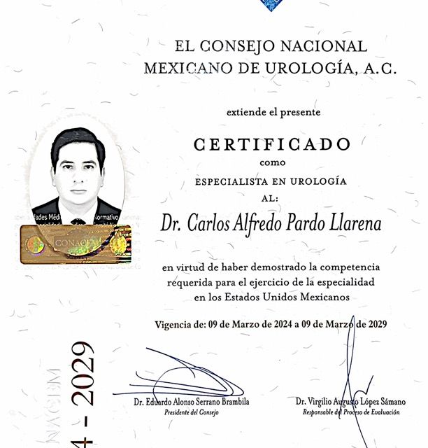 Ampliar imagen: certificate 3