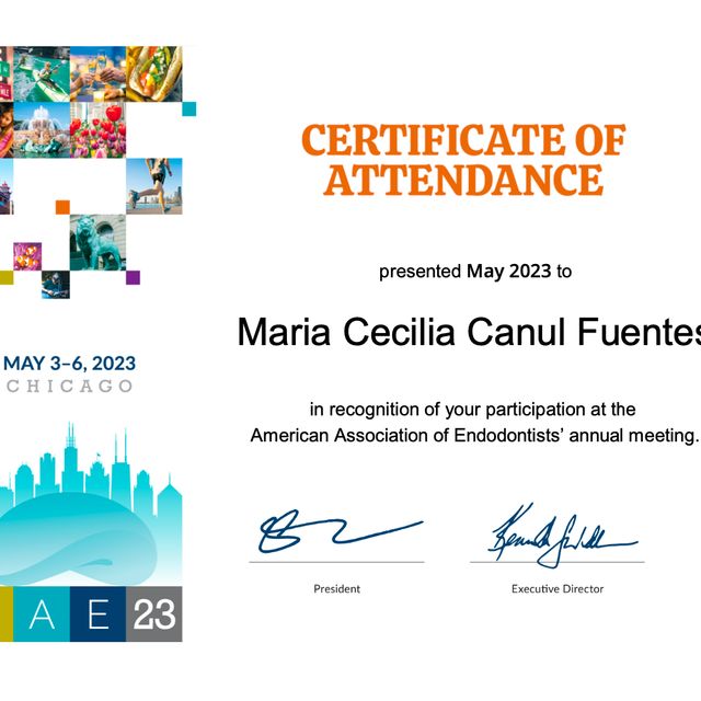 Ampliar imagen: certificate 3