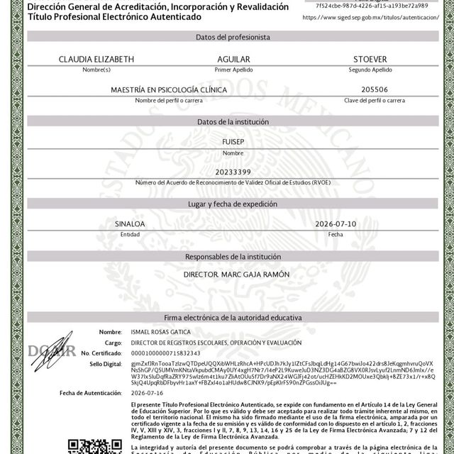 Ampliar imagen: certificate 2