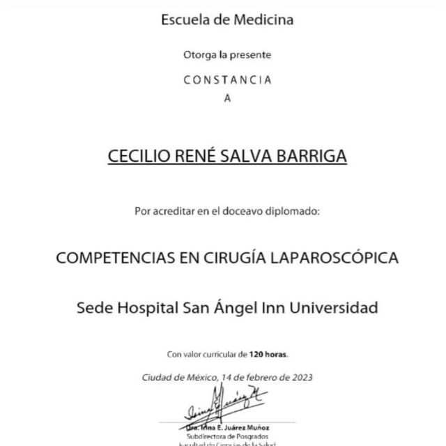 Ampliar imagen: certificate 7