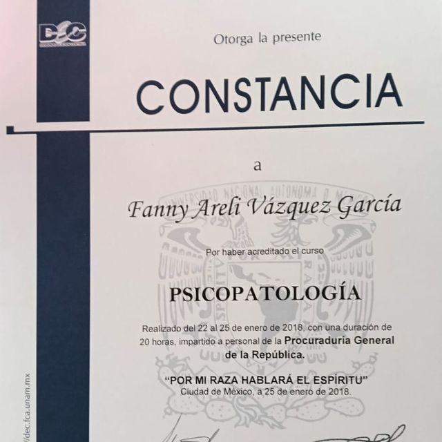 Ampliar imagen: certificate 14