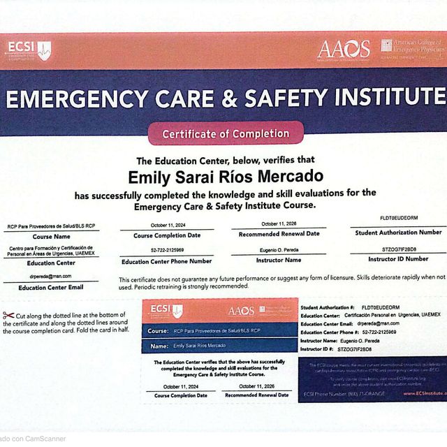 Ampliar imagen: certificate 3