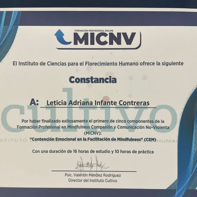 Ampliar imagen: certificate 11