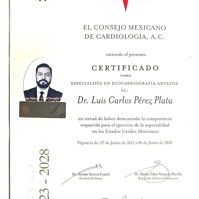 Ampliar imagen: certificate 3