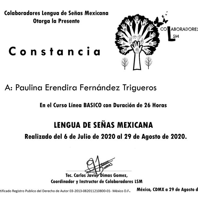 Ampliar imagen: certificate 8