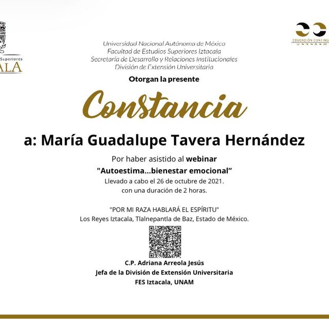 Ampliar imagen: certificate 45