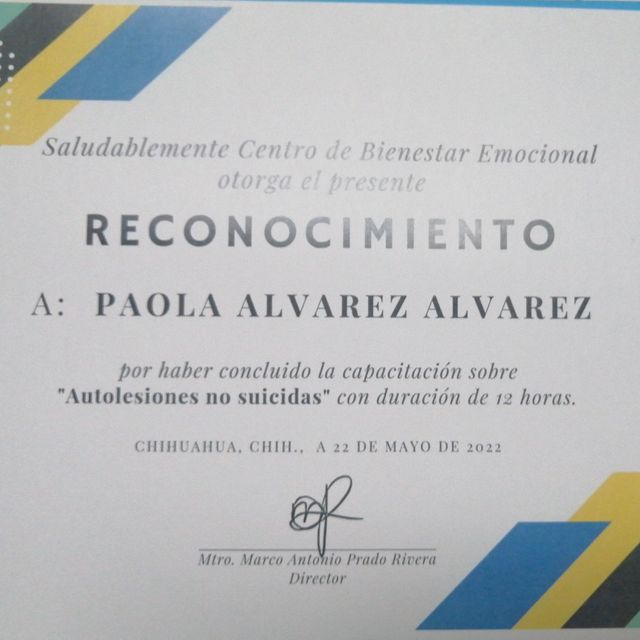 Ampliar imagen: certificate 9