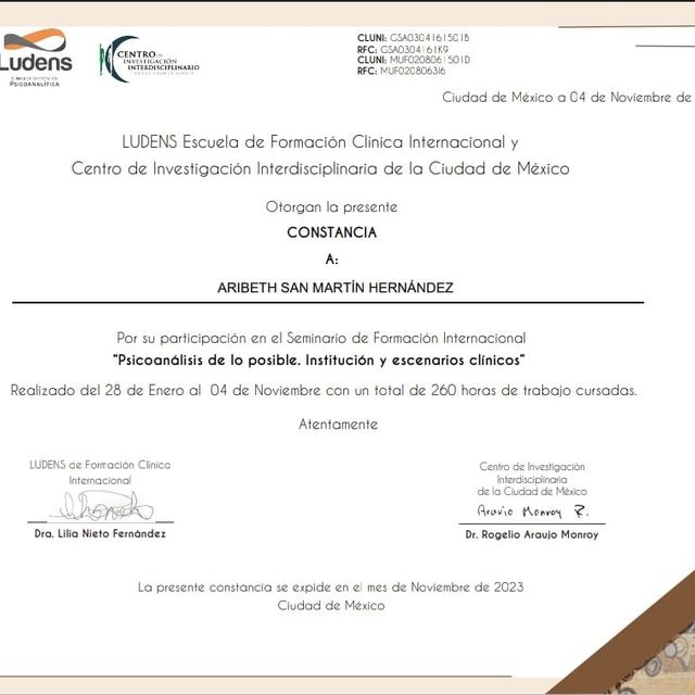 Ampliar imagen: certificate 9