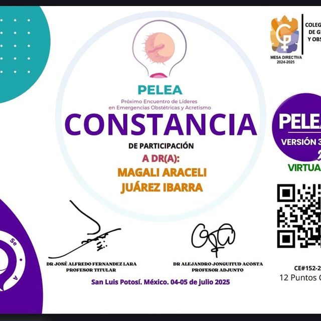 Ampliar imagen: certificate 2