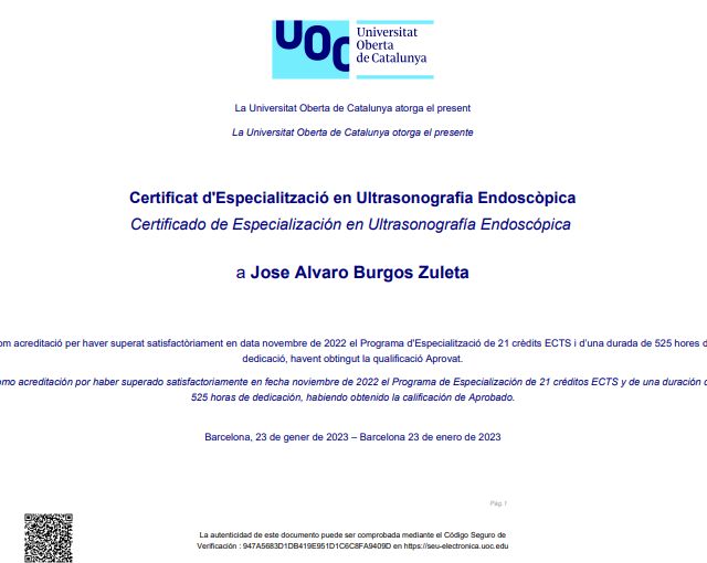 Ampliar imagen: certificate 2