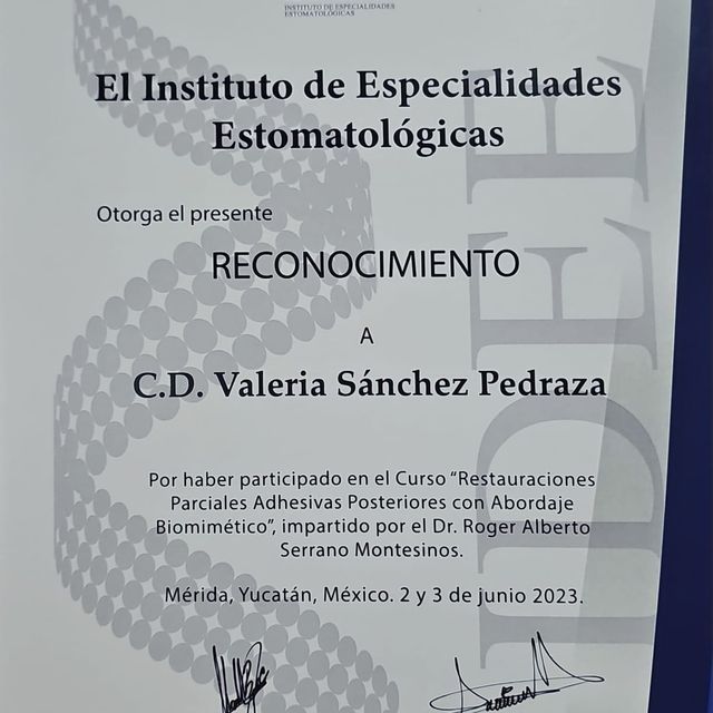 Ampliar imagen: certificate 5