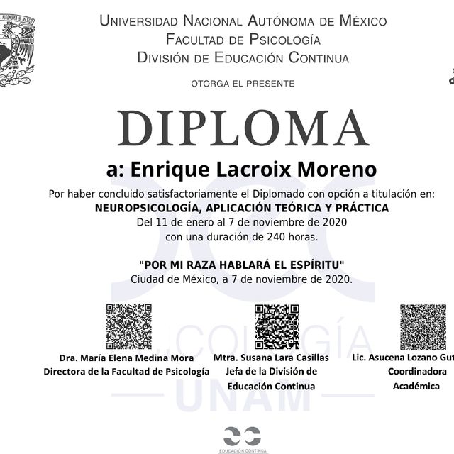 Ampliar imagen: certificate 2