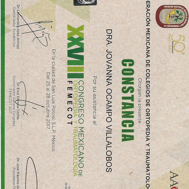 Ampliar imagen: certificate 7