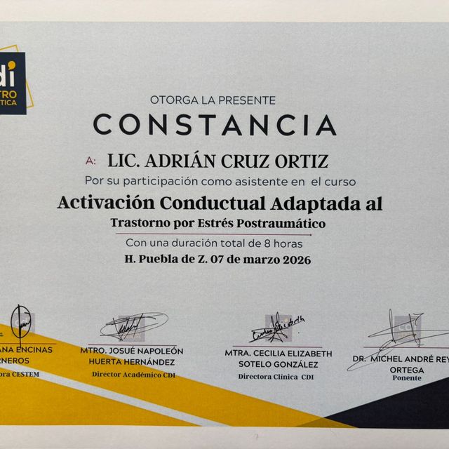 Ampliar imagen: certificate 5