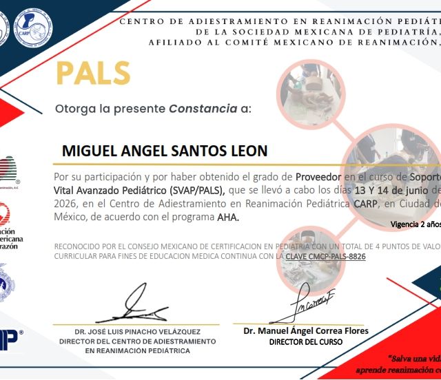 Ampliar imagen: certificate 5