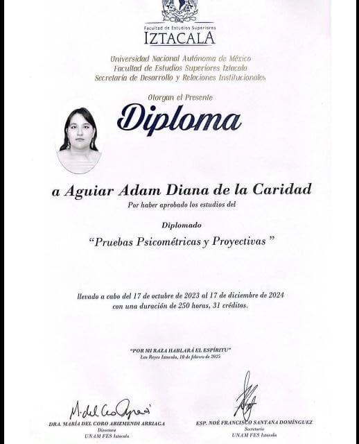 Ampliar imagen: certificate 2