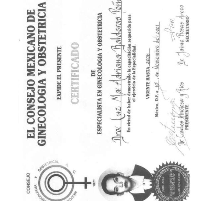 Ampliar imagen: certificate 1